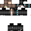 Texture for dino