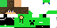 Texture for SaNcHEZ2017