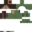 Texture for Villager