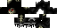 Texture for max10