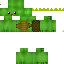 Texture for tortoise