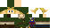 Texture for link 426