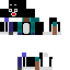Texture for Sylvester