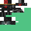 Texture for King Wither