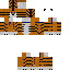 Texture for tiger2