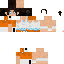 Texture for chell