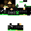 Texture for steve