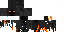 Texture for Phoenix