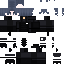 Texture for d13