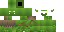 Texture for thin_orc