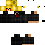 Texture for Pikacustorio