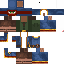Texture for Aldeano errante