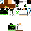 Texture for steve