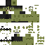 Texture for The hulk