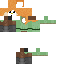 Texture for racoco Alex