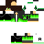 Texture for iiş