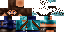 Texture for Steve2