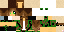 Texture for Camo citty