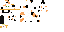 Texture for maneki
