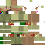 Texture for Gnome Child Roblox Man Face