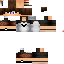 Texture for sdss