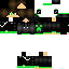 Texture for steve
