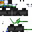 Texture for IM_HsLilio