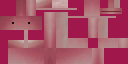 Texture for Pink River Dolphin