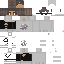 Texture for setolap48
