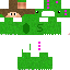 Texture for simon