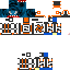 Texture for ds
