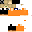 Texture for DanNogCam basic