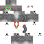 Texture for cat_vasa