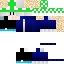 Texture for cogui12