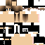 Texture for bts