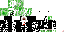 Texture for bb