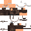 Texture for 321
