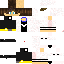 Texture for Skih