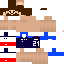 Texture for lucas hernandez