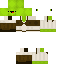 Texture for goosesurfer
