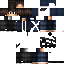 Texture for DiNNoMC