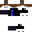 Texture for roblox