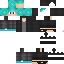 Texture for ninja