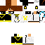 Texture for new mini_gamerYT 2