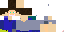 Texture for ds