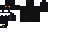 Texture for Halloween Black Cat