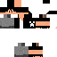 Texture for paulinhohgv3