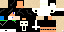 Texture for skiders3