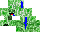 Texture for крипер нуб