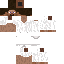 Texture for Steve
